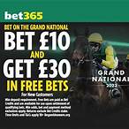 who to bet on grand national 2021
